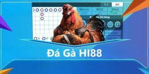 Da Ga Truc Tuyen Hi88
